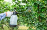 精彩黄瓜视频在线观看，让你轻松学习黄瓜种植与养护技巧