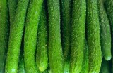 黄瓜与丝瓜的营养价值对比，健康美味食谱推荐
