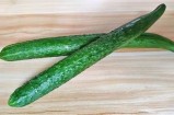优质黄瓜视频分享，教你如何挑选、储存与制作美味黄瓜菜肴
