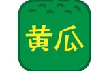黄瓜视频探索：新奇有趣的内容分享平台