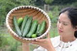 精彩黄瓜制作视频：教你轻松学会美味黄瓜菜肴