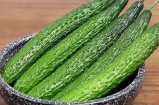 2023年黄瓜视频推荐：新鲜有趣的短视频分享平台