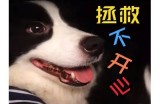 “黄瓜视频：带你领略生活中的趣味与创意视频”