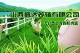 黄瓜视频H：探索新鲜自然与趣味生活的完美结合
