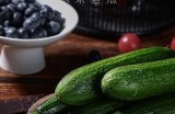 探索黄瓜视频的热门内容与观看指南，畅享精彩视听体验