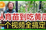 “精彩黄瓜视频分享：种植技巧与美味食谱”