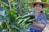 新鲜黄瓜视频教学：轻松学会多种美味黄瓜料理