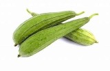 黄瓜与丝瓜的营养价值与健康食用方法