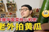 黄瓜视频推荐：精彩短片与趣味生活分享