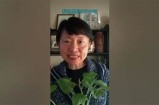亲手种植与制作黄瓜：直播教你打造新鲜美味的黄瓜菜肴