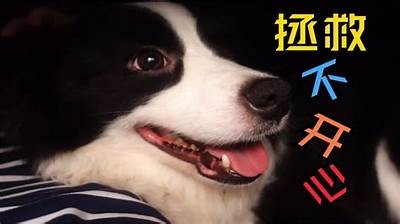 探索黄瓜视频：让你畅享精彩影视内容，尽在这里！