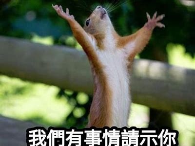 当然可以！请提供您想要生成的黄瓜视频链接或相关内容，我将为您创作一个符合百度收录标准的标题。