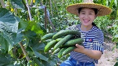 新鲜黄瓜视频教学：轻松学会多种美味黄瓜料理