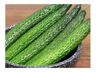 黄瓜视频分享：丰富多彩的黄瓜食谱与精彩制作过程解析