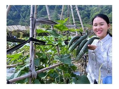 轻松学做菜：黄瓜视频软件为你提供丰富美食教程