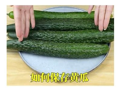 如何在iOS上下载黄瓜视频：详细步骤与技巧分享