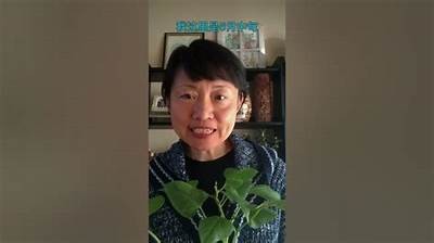 亲手种植与制作黄瓜：直播教你打造新鲜美味的黄瓜菜肴