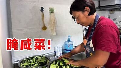 “黄瓜视频合集：趣味食谱、种植技巧与创意美食分享”
