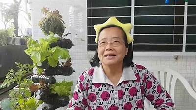 轻松学会黄瓜插枝技巧，家庭园艺新手必看指南