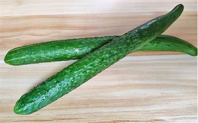 优质黄瓜视频分享，教你如何挑选、储存与制作美味黄瓜菜肴