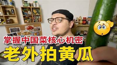 黄瓜视频推荐：精彩短片与趣味生活分享