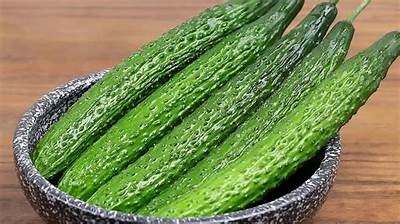 2023年黄瓜视频推荐：新鲜有趣的短视频分享平台