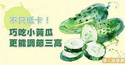 探秘黄瓜的妙用：健康美食与趣味食谱分享