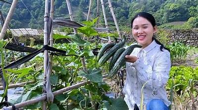 黄瓜视频：探索健康饮食与生活方式，打造美丽新体验