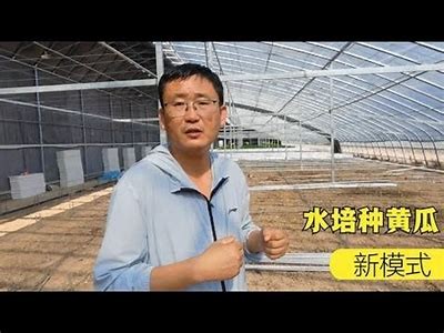 精彩黄瓜视频18：亲手种植与美味食谱分享