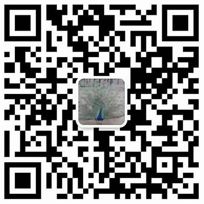 黄瓜视频邀请码分享与使用指南，让你轻松获取优质内容