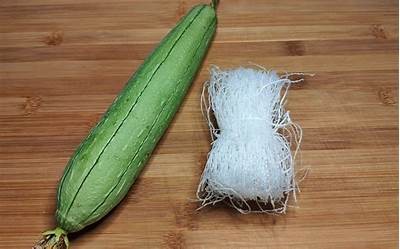 如何制作美味黄瓜丝瓜视频详细教程，轻松学会家常菜