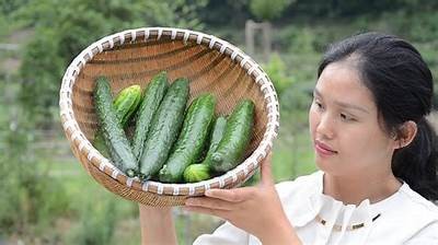 精彩黄瓜制作视频：教你轻松学会美味黄瓜菜肴